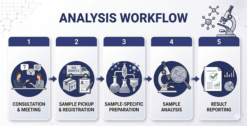 TEMES Analysis Workflow